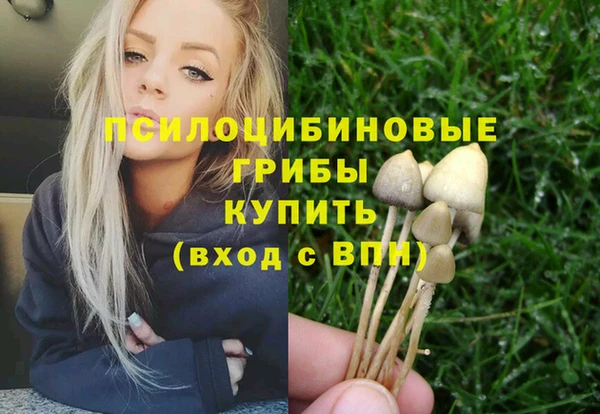 марки nbome Дмитровск