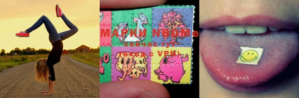 бошки Дмитров