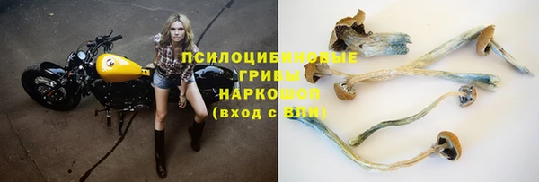 марки nbome Дмитровск
