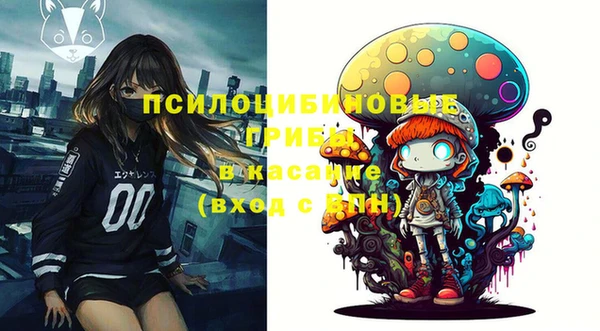 бошки Дмитров